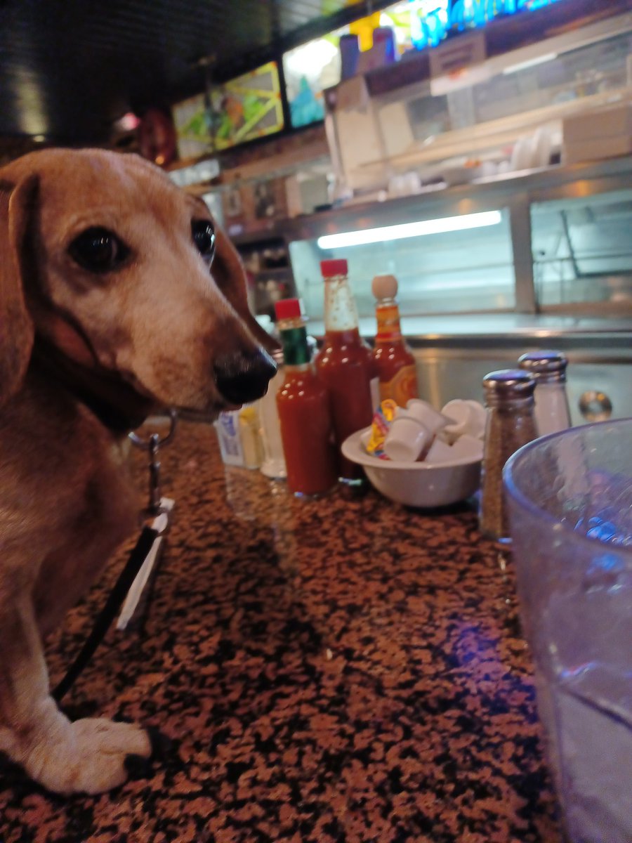 RtotheTtotheC's tweet photo. #ImABadExampleOf a ruff life
@itsa_struggle
@HashtagRoundup
@StrugglingTags https://t.co/uKA2Y0gVEe