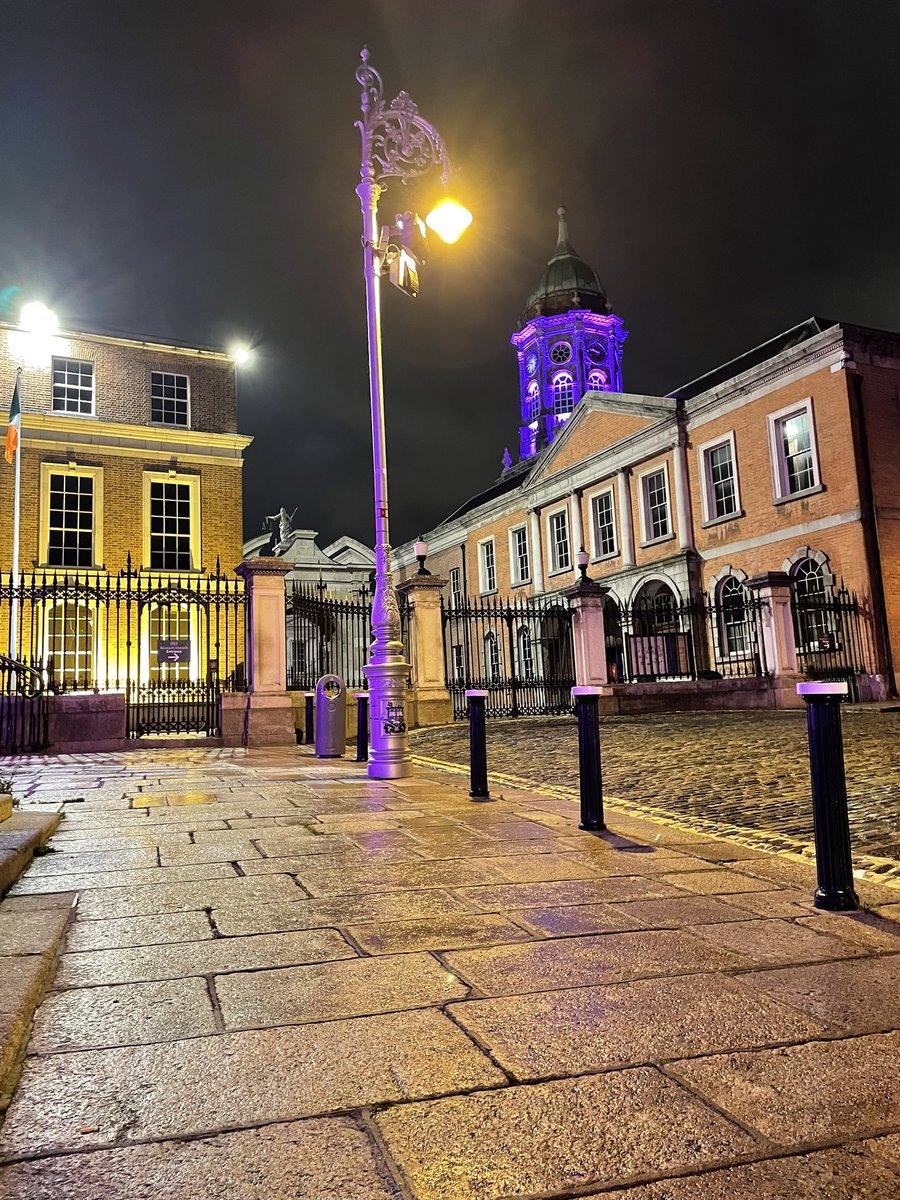 niamh_rowland's tweet photo. What a beautiful way to end DLD Awareness Day looking at Dublin Castle lit up in Purple and Yellow. 
Thank you @dublincastleopw @opwireland @events_DCC  for shining a light on #DLD 💫💜 

@RADLDcam @iaslt @LehaneNeasa #ThinkLanguage #ThinkDLD https://t.co/FRKqIIgDN6