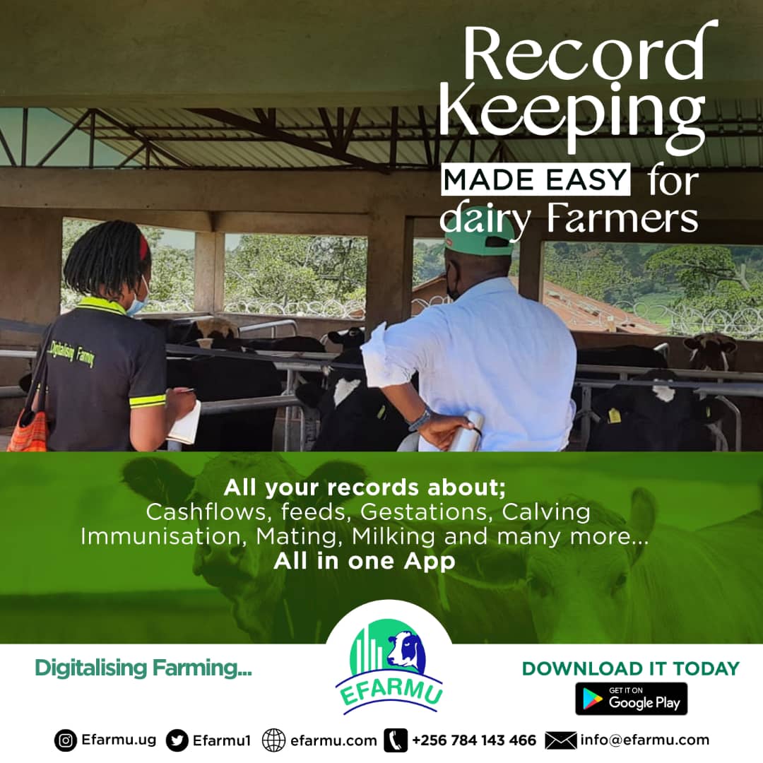 For an accurate, reliable and easy to follow cattle record keeping app, download the efarmu app from play store
#digitalisingfarming
#efarmuapp