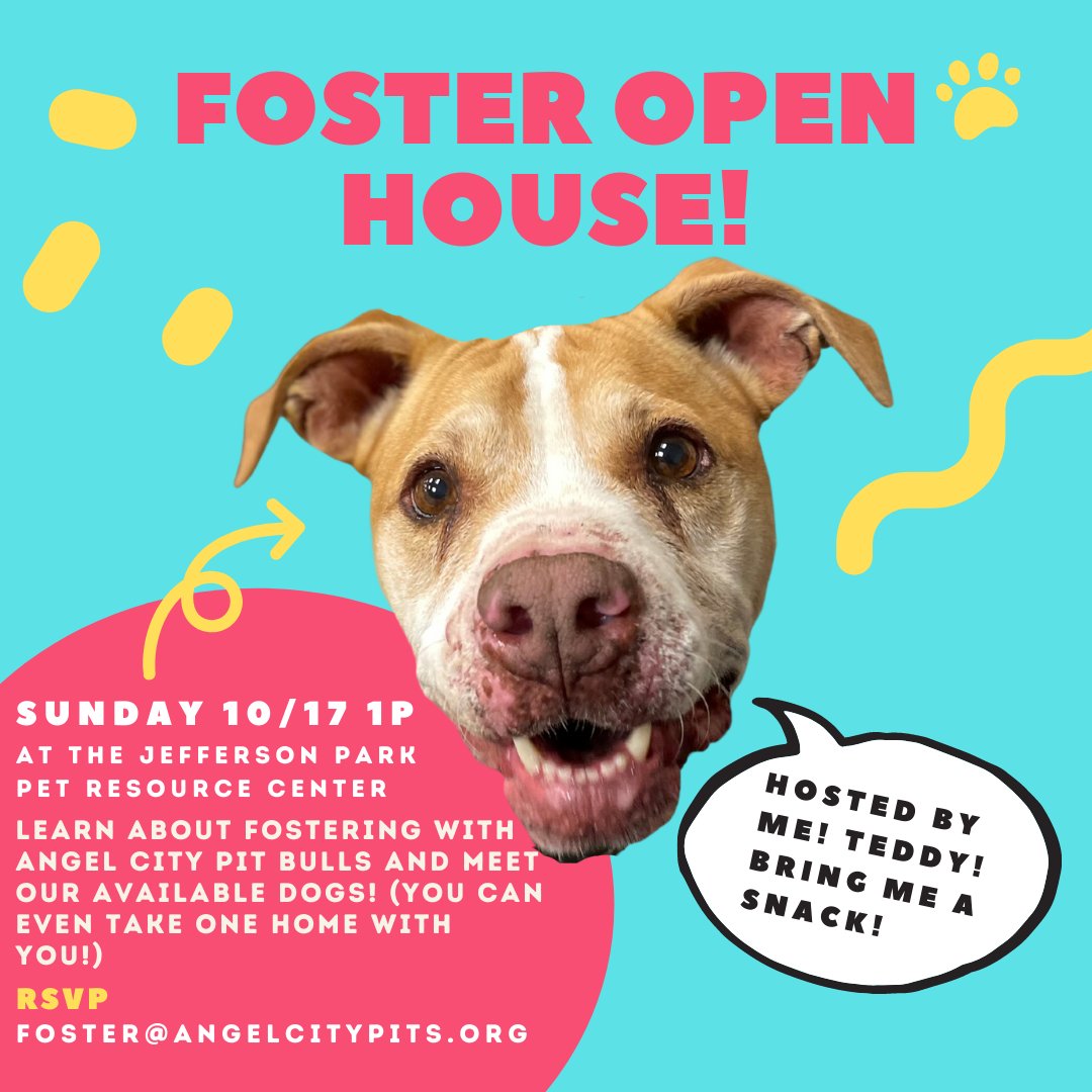 Join us this Sunday, October 17th at 1p for a foster open house at our Jefferson Park Pet Resource Center. To RSVP, email foster@angelcitypits.org. conta.cc/3APYndv