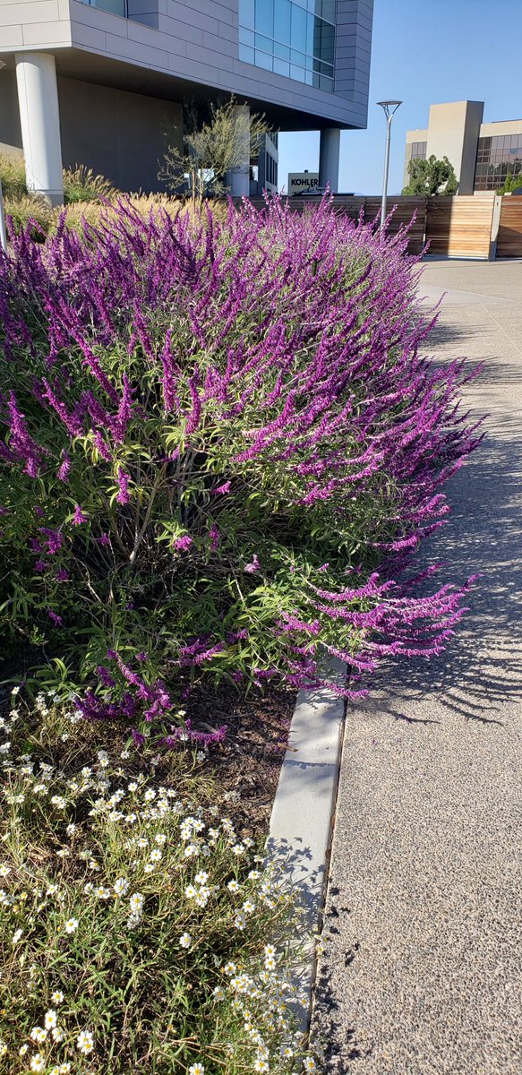 My favorite spots around my office.