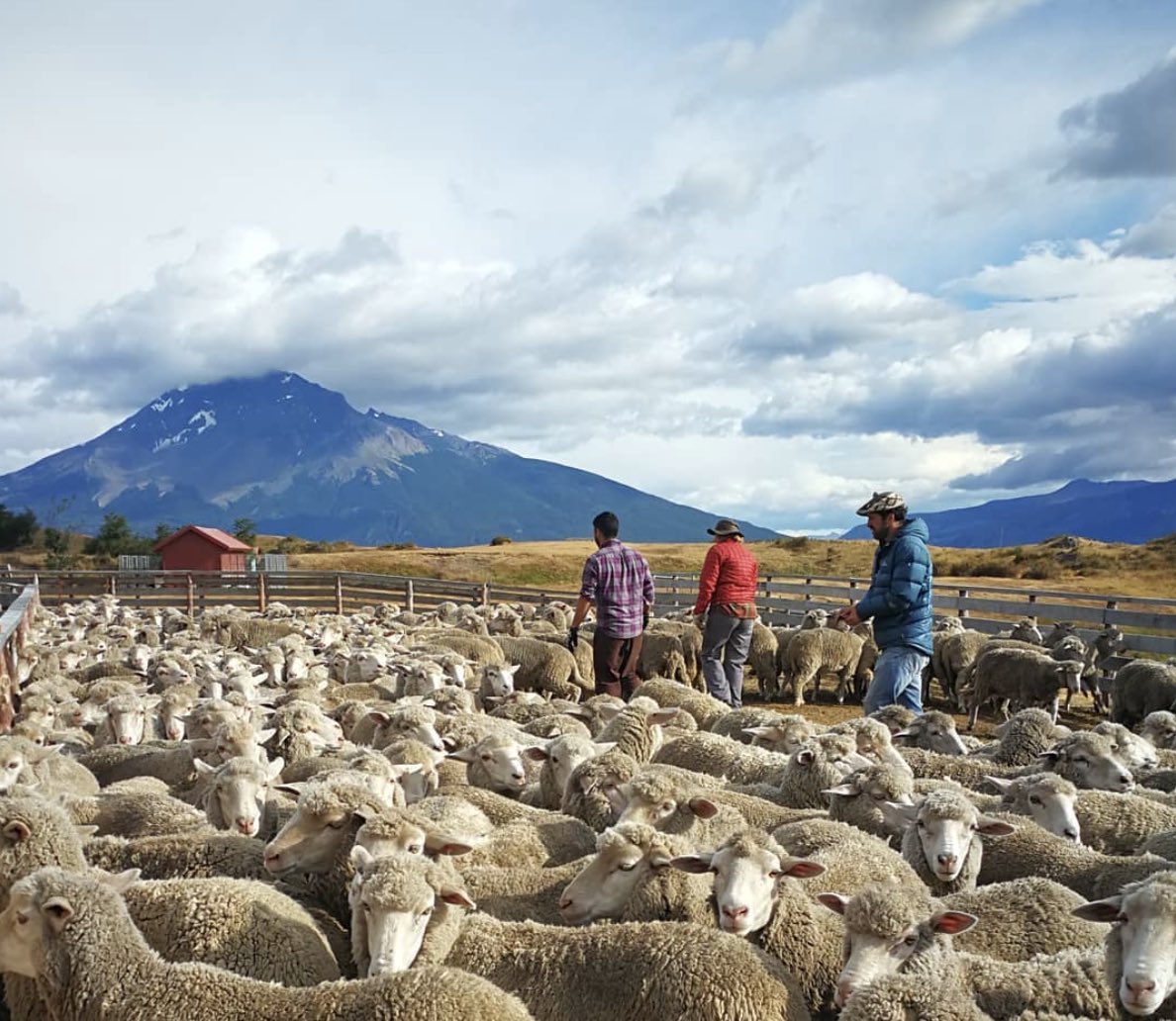 El 2022 será el año del #turismodeestancias en #chile #estanciasdechile 👉estanciasdechile.com