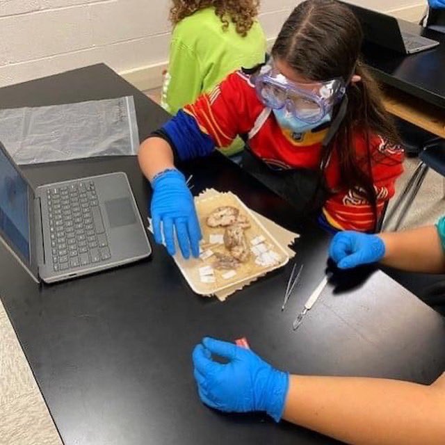 Erin Thurston tweet media