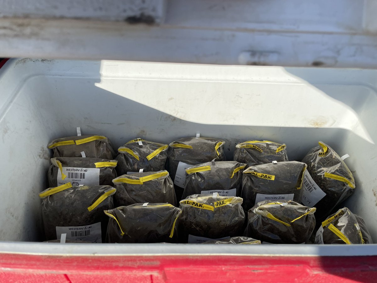 WesternAg North West Sask. tweet media