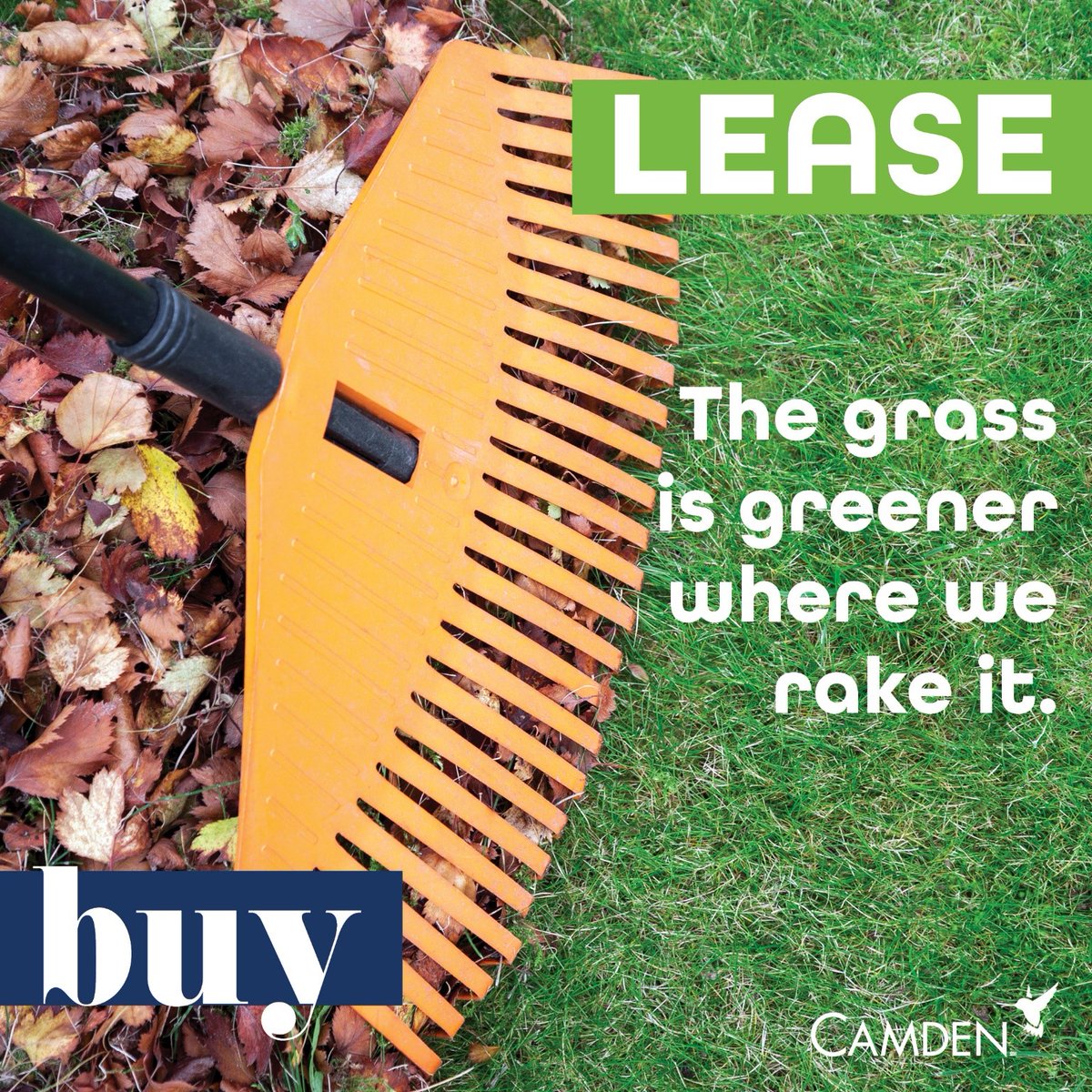Spend your cool, Fall weekends raking, or, choose Camden and enjoy the Fall feels without the arm workout. Schedule a tour online today!