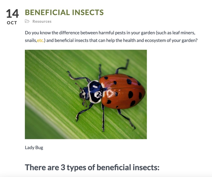New Blog Post on Beneficial Insects. Check it out 🐞cityslickerfarms.org/2021/10/14/ben… 

#beneficialinsects #gardenhealth #backyardgarden
