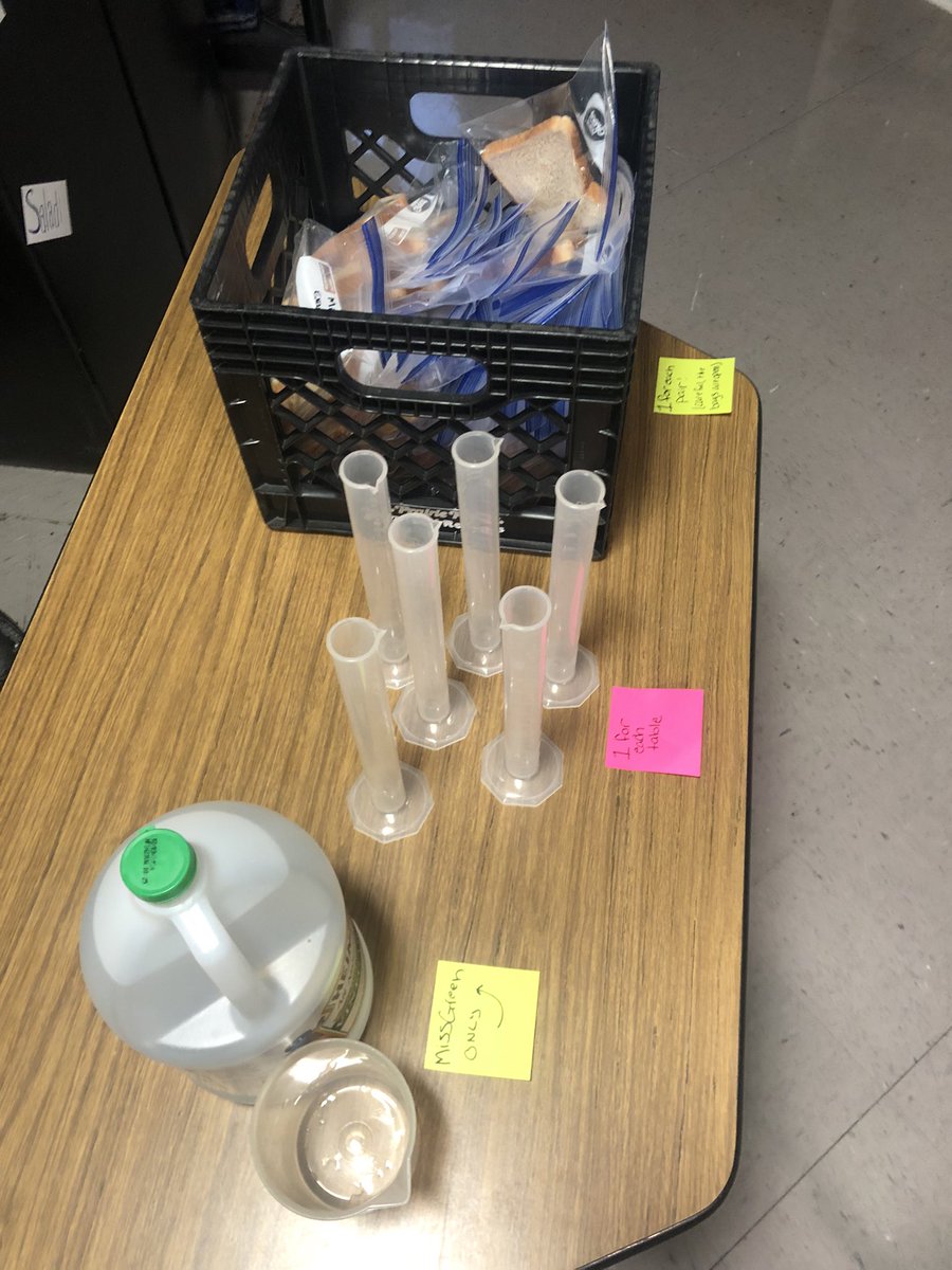 missgreen2020's tweet photo. What would we do with bread and vinegar during science class? Model the digestive system, of course!!  #callowayschools #teachertwitter #4thgrade #science https://t.co/PAjiA2HSAj