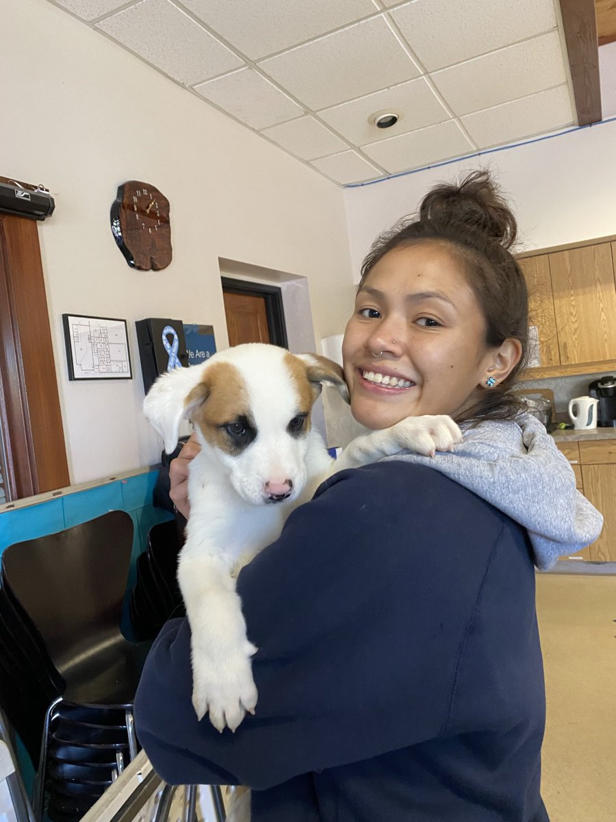 Fort Lewis Women’s Basketball tweet media