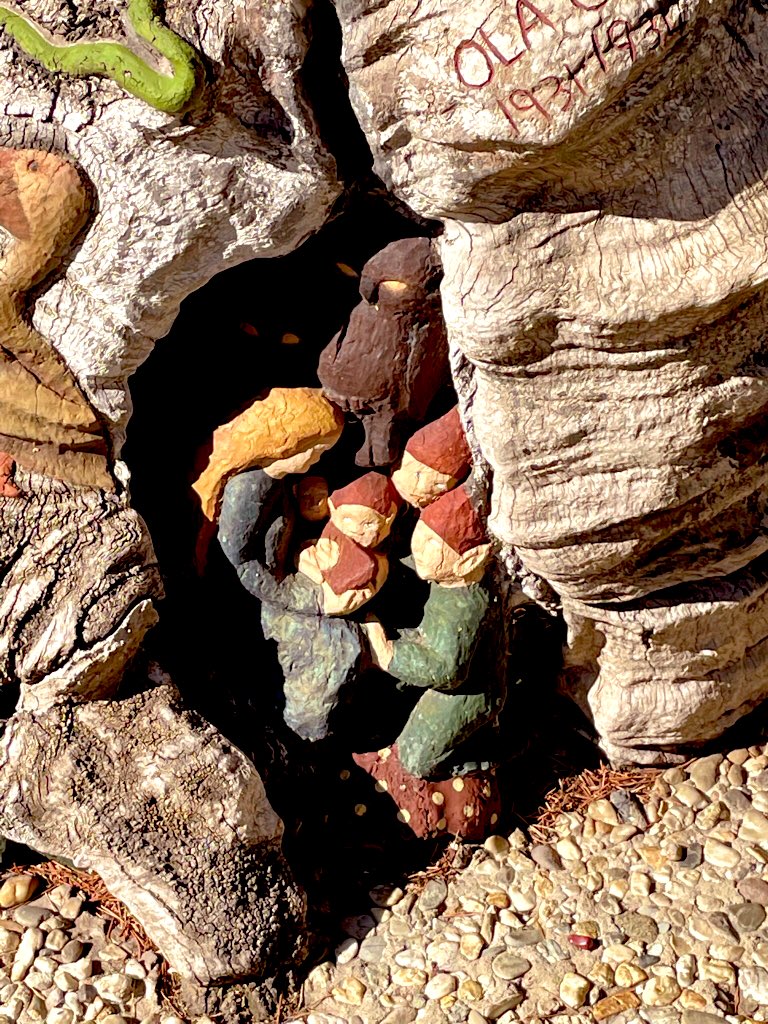 vasusoma77's tweet image. #springinmelbourne