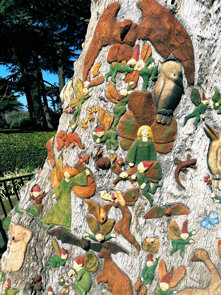 vasusoma77's tweet image. #springinmelbourne