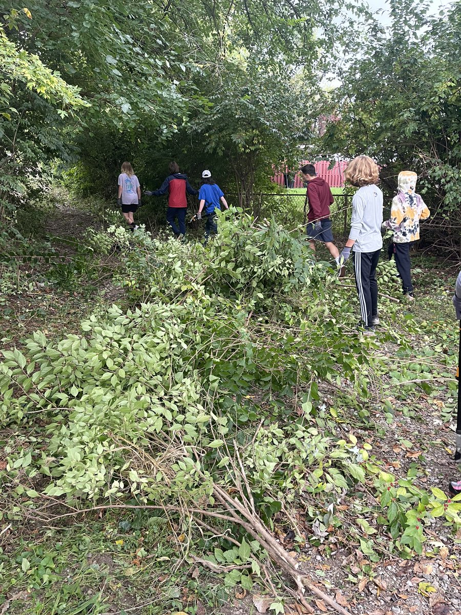 Austin Ferguson, Ed.D. tweet media