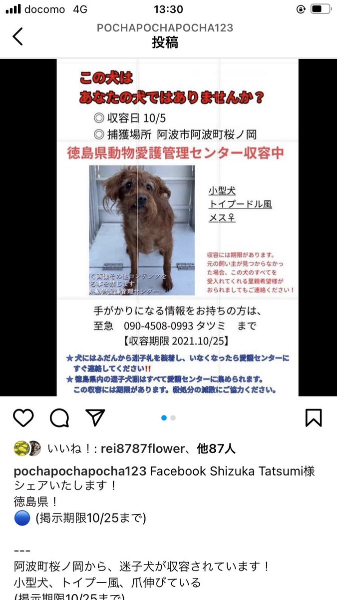徳島県動物愛護管理センター Twitter Search Twitter