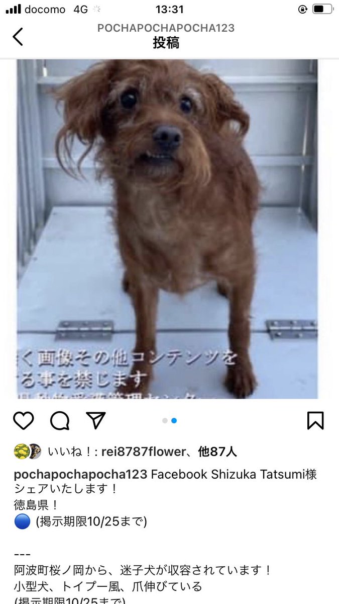 徳島県動物愛護管理センター Twitter Search Twitter