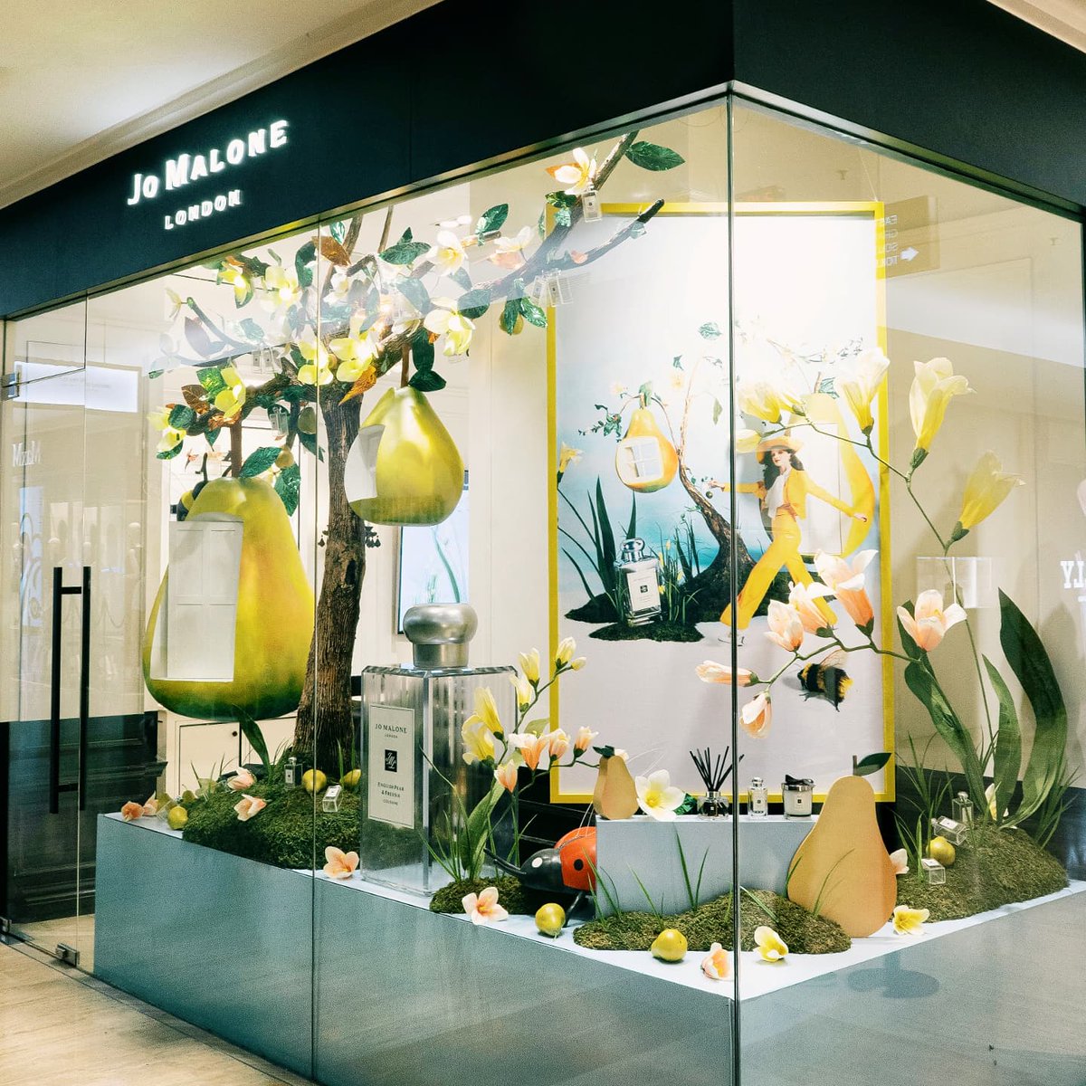 disyonkha's tweet photo. Latest window's work for Jo Malone. More on #instagram mhdsyofficial  #mhdsy #teamhdsy https://t.co/vvDuV64XRF