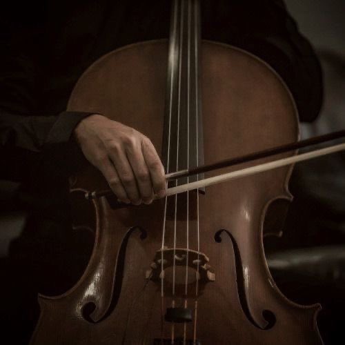 historyheathen's tweet image. HASAN !

- he/him
- 11th grade (US)
- history &amp;amp; science nerd
- writer/reader
- not new to #studytwt 

let’s be mutuals!!