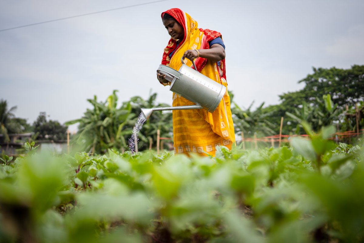 SwedeninBD's tweet photo. No one, nowhere should go hungry. Today on #WorldFoodDay2021, we are reminded of the importance of fighting hunger. Sweden🇸🇪 is a proud supporter of @WFP and @FAOBangladesh for this cause, globally🌎 and here in Bangladesh🇧🇩. #SEBD50. Read a lovely story 👉https://t.co/u9DMKeStdN https://t.co/waZdjj487h