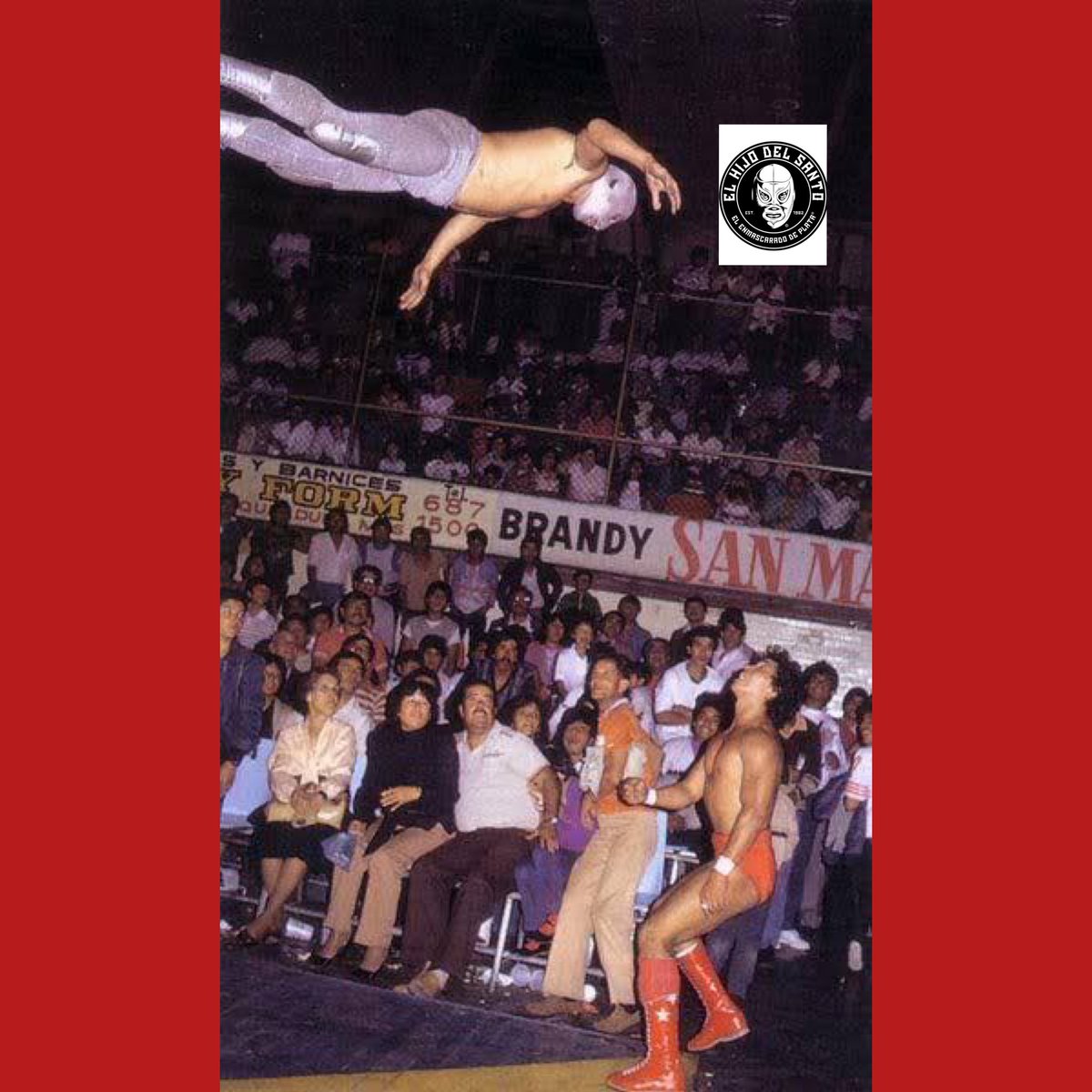 Si quieres volar, no permitas que nada ni nadie te lo impida. ¡Solo vuela!