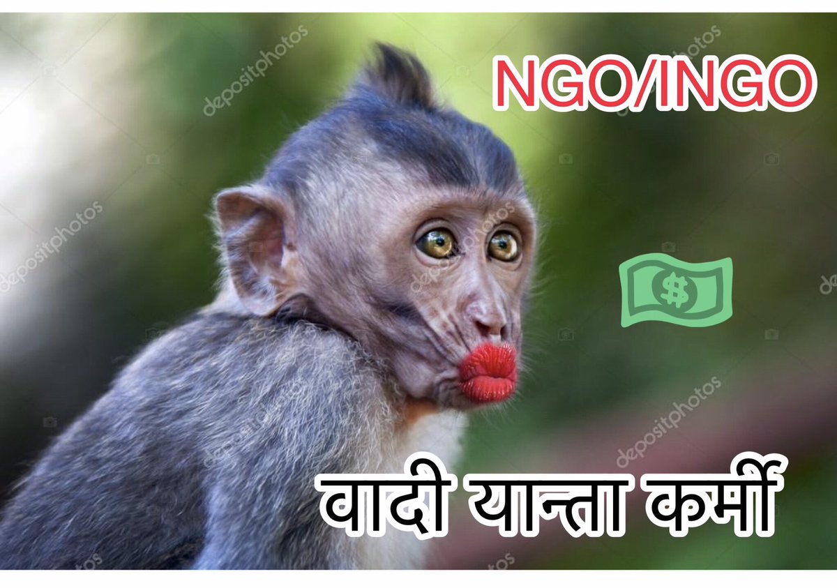 malatii5's tweet photo. परिवार सम्हाल्न नसकेका,
विवाह गरेर घर जम गर्न नसकेका,
व्याभिचारमा लिप्त,
झगडालु स्वभाव भएका,
अर्काको श्रीमान ताक्ने,
सहि र गलत छुट्याउन नसक्ने,
धर्मछाडा,पती द्रोही,
नराम्री,
र कुसंस्कारीहरू 
अक्सर महिलाअधिकारकर्मी हुने गरेका छ।नपत्त्याए वादी,यान्ता र कर्मिहरुको हुलिया हेर्नुहोस्। https://t.co/pWB3mkSyoG
