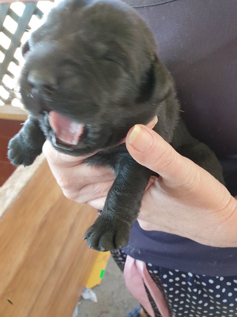 VikingTheTrader's tweet photo. She’s getting bigger https://t.co/v4Vbjtn7V3
