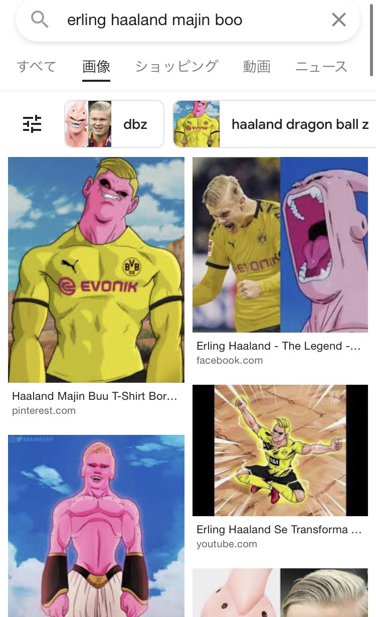 ハーランド 魔人ブウ アート ハーランド魔人ブウ | TikTok