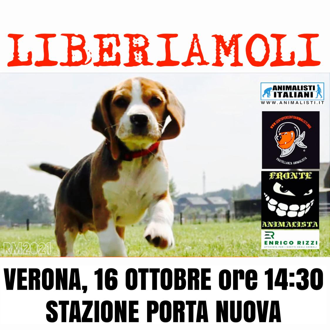 Animalistiitaly photo