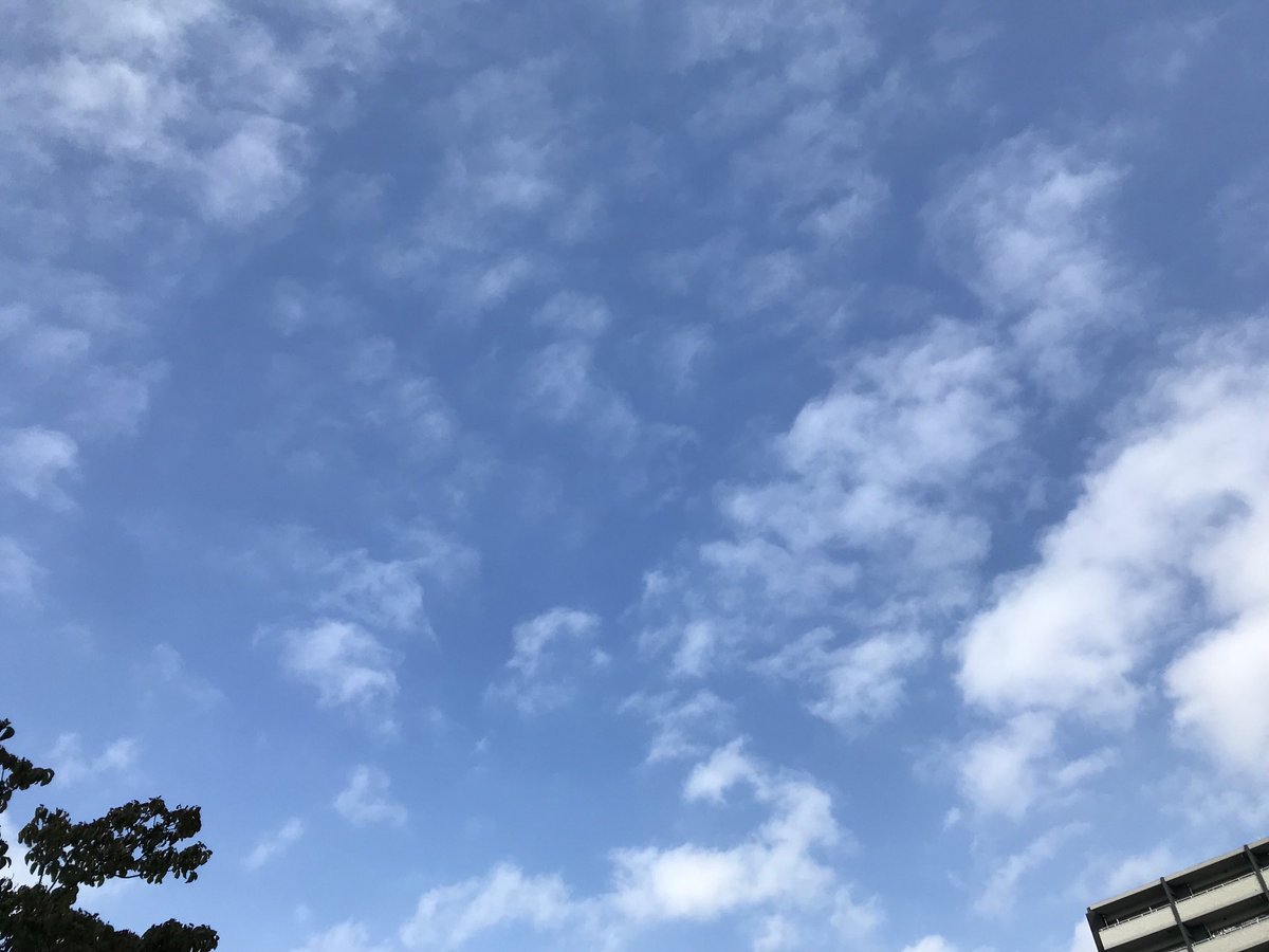 おはようございます。今朝の名古屋は多少雲は多めですが気持ちの良い天気です。でも夜からは雨の予報です。ヤスイ質店、今日も元気に営業してます！
yasui78.com