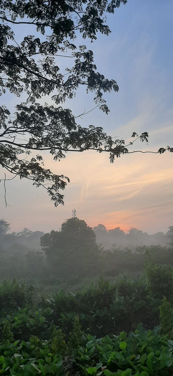 vividoy's tweet photo. Kencan pagi bersama suami 4763 langkah di pagi yg cerah ini https://t.co/4q5pvJkaBj