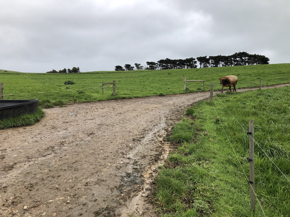 YonBaker's tweet photo. Nothing a girl loves more than being persued by a good looking fella ๐คฃ
But a tip - if youโre going ta practise your running of the bull skills, best not do it in waterproofs, gumboots & a beanieโฆ.even on a cold n blustery day ๐ฅต๐ฅต
#followingtheleader https://t.co/eosky3DqGw