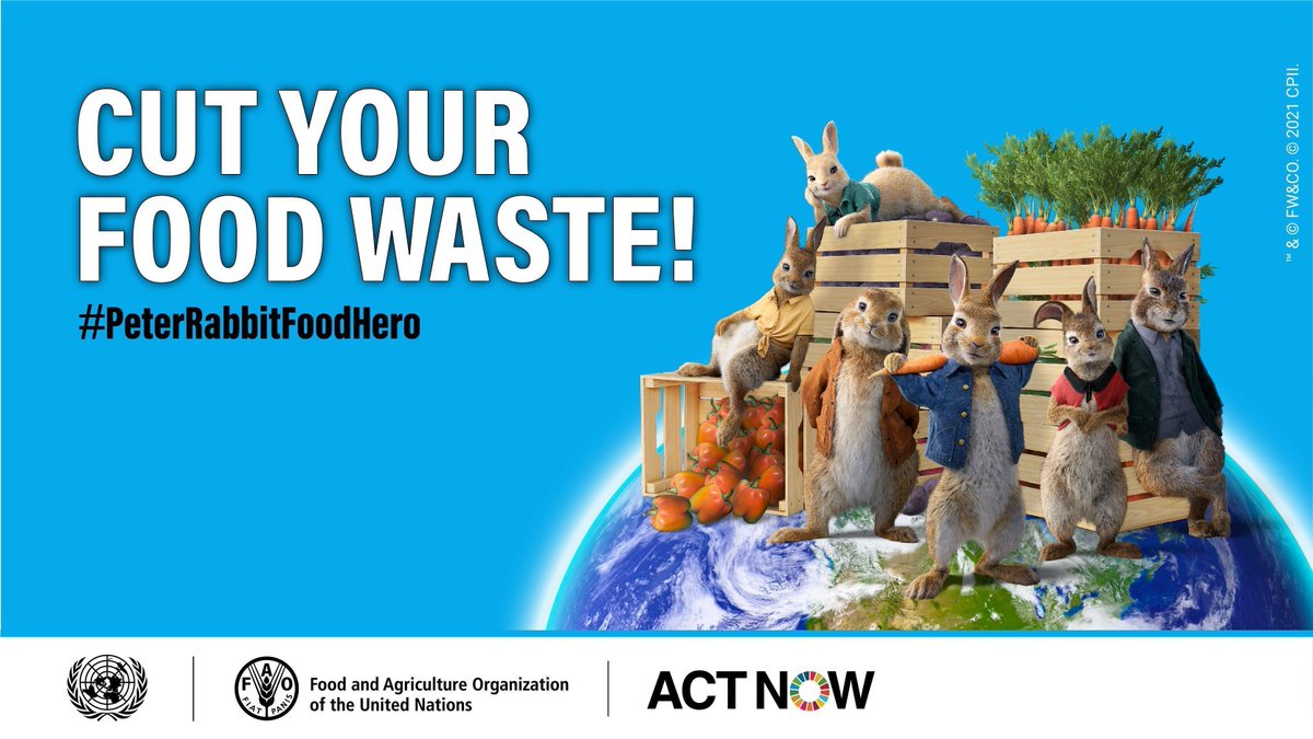UNEP's tweet photo. On #WorldFoodDay &amp; every day, we can all be #FoodHeroes 

💡 Reduce food waste
💡 Buy seasonal &amp; local
💡 Grow your own produce

Help others &amp; share your food-saving tips 

@FAO info: https://t.co/08xtMZgIL1 https://t.co/Z9Mdh1DSNN