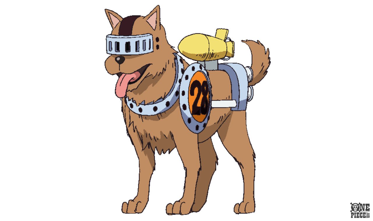 One Piece Com ワンピース ニュース 本日誕生日キャラクターをチェック Onepiece T Co Hhrxhyux5s T Co Pmcqkqesa9 Twitter