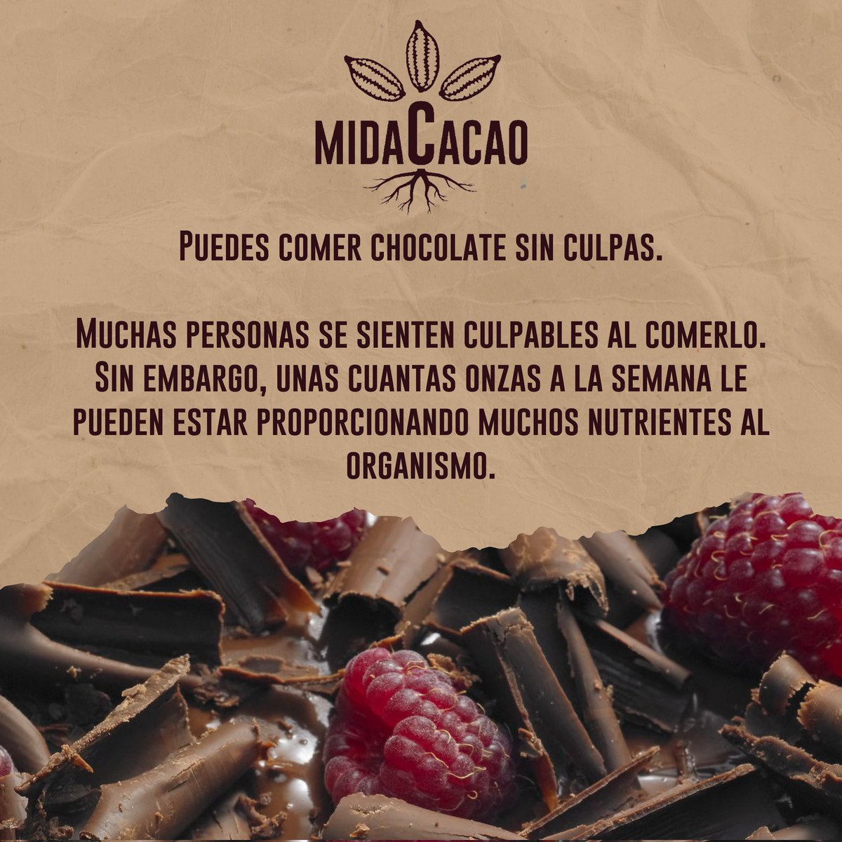 MidaCacao's tweet photo. #MidaCacao #Artesanal #Chocolate #Cacao #Natural #HechoEnMexico https://t.co/hFg6483bZX