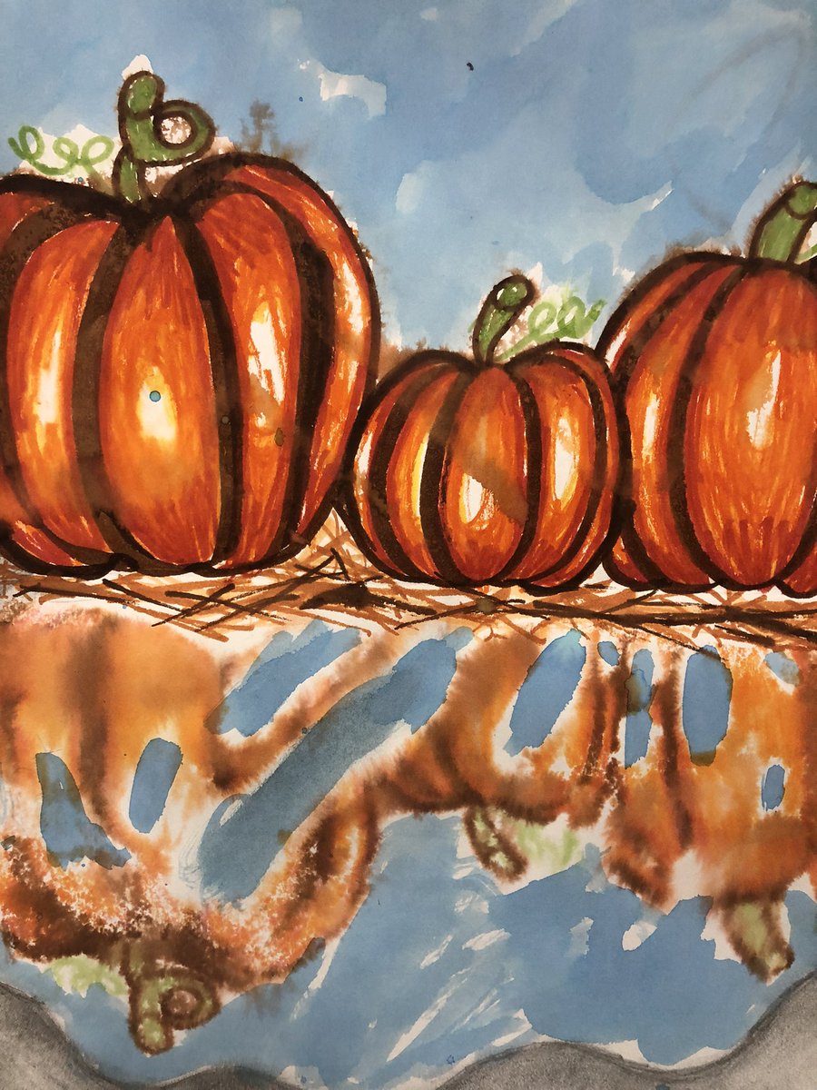 StJamesPelicans's tweet photo. Pumpkin Reflections @stjameseds Magical 💚💙 #wearestjames https://t.co/IaZ2n3uerh