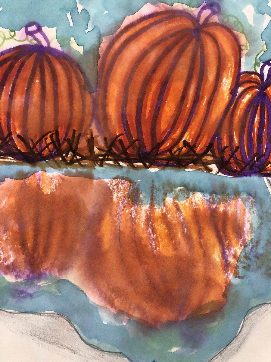 StJamesPelicans's tweet photo. Pumpkin Reflections @stjameseds Magical 💚💙 #wearestjames https://t.co/IaZ2n3uerh