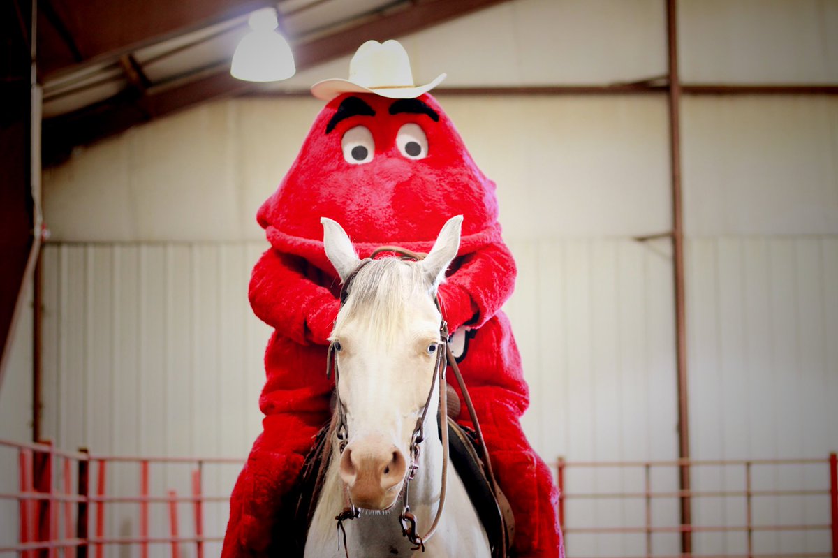 “There’s no way Big Red can ride a horse.” 🚩🚩 🚩🚩 🚩🚩

#WildWildWestern #WKU #WKUhomecoming