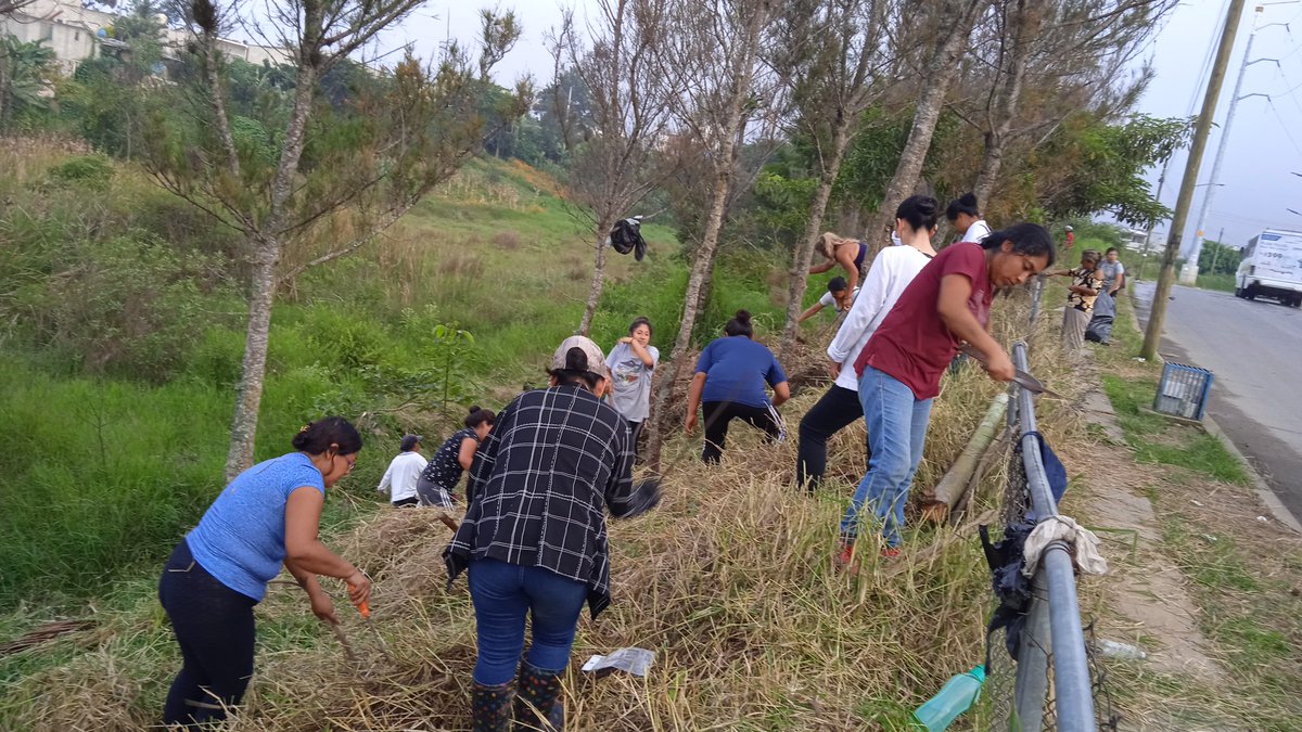 bebytosexii's tweet photo. Comerciantes antorchistas se organizan para mantener limpia la laguna de la zona Tronconal, ya que es una área Natural Protegida que por muchos años ha sido abandonada. La maleza a crecido, los fraccionamientos cercanos agarran de basurero esta área. https://t.co/iv0FVU0ur8