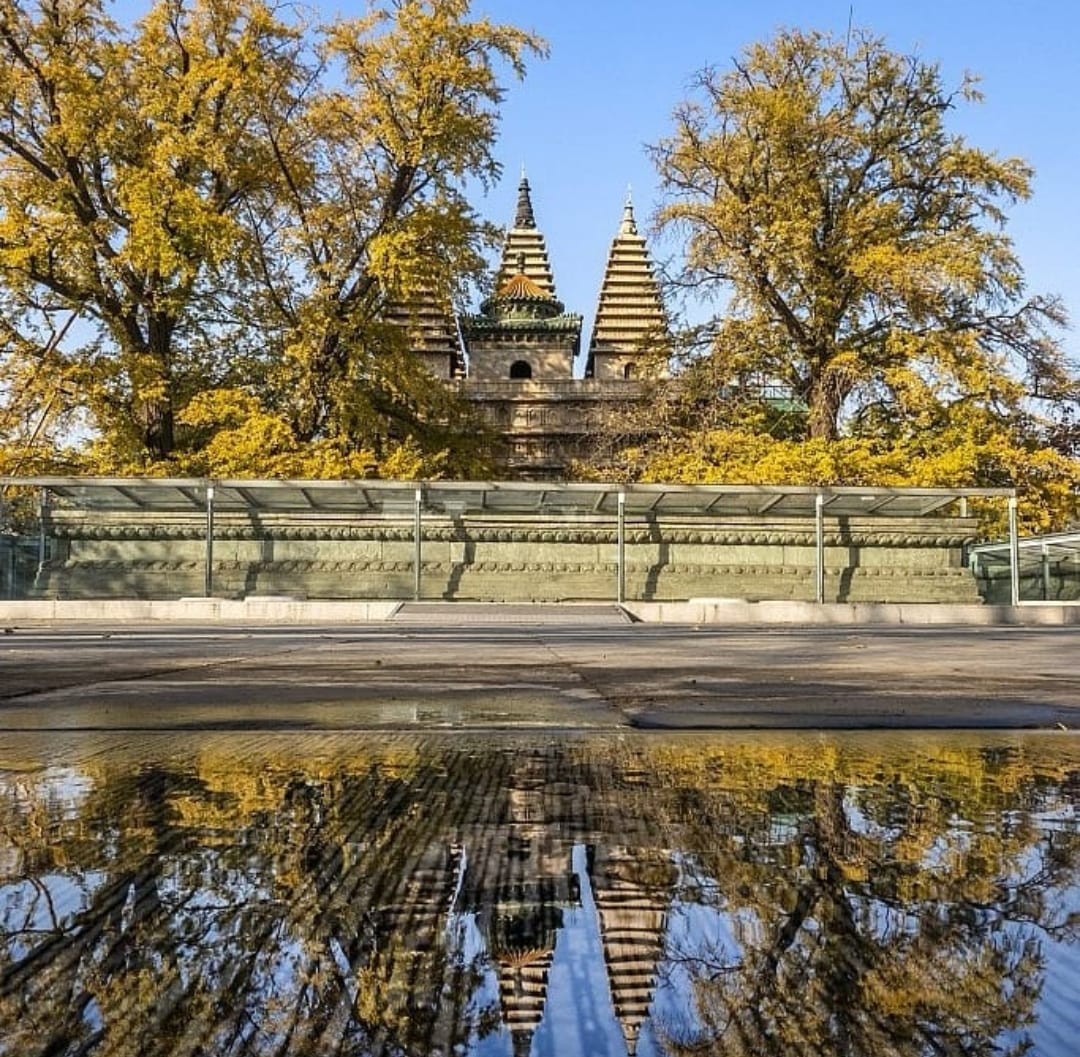 WindowonChina's tweet image. تشكل الهندسة المعمارية المميزة لمعبد Wuta القديم في #بكين مشهدًا خريفيًا خلابًا يظهر فيه شجرتا الجنكة البالغتان من العمر ستة قرون.

  #اقتصاد #سفر #طبيعة #سياحة #نافذة_على_الصين
 #中國 #China #Window_on_China  #中国之窗