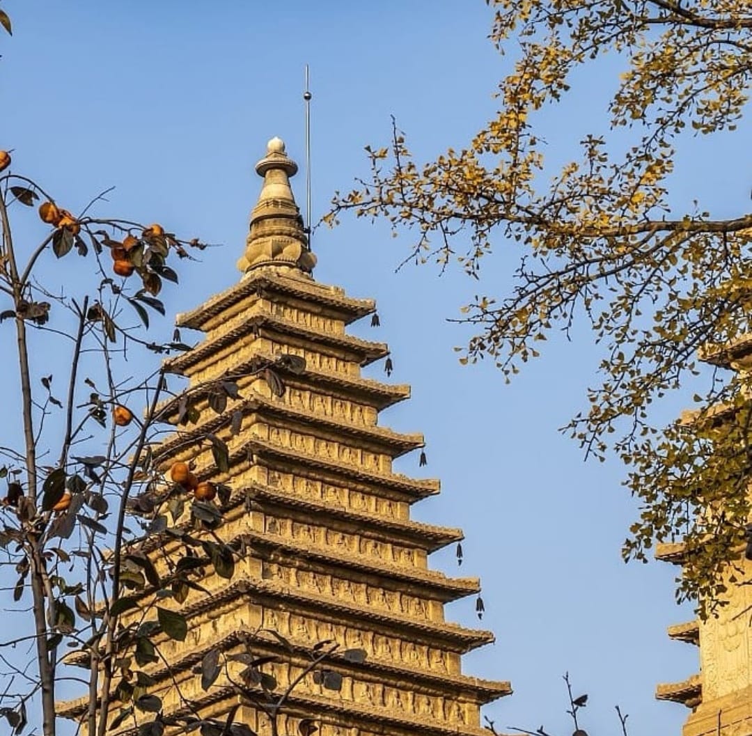 WindowonChina's tweet image. تشكل الهندسة المعمارية المميزة لمعبد Wuta القديم في #بكين مشهدًا خريفيًا خلابًا يظهر فيه شجرتا الجنكة البالغتان من العمر ستة قرون.

  #اقتصاد #سفر #طبيعة #سياحة #نافذة_على_الصين
 #中國 #China #Window_on_China  #中国之窗