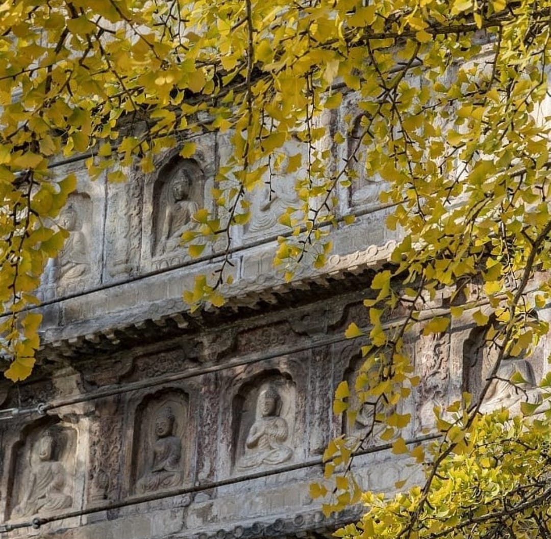 WindowonChina's tweet image. تشكل الهندسة المعمارية المميزة لمعبد Wuta القديم في #بكين مشهدًا خريفيًا خلابًا يظهر فيه شجرتا الجنكة البالغتان من العمر ستة قرون.

  #اقتصاد #سفر #طبيعة #سياحة #نافذة_على_الصين
 #中國 #China #Window_on_China  #中国之窗