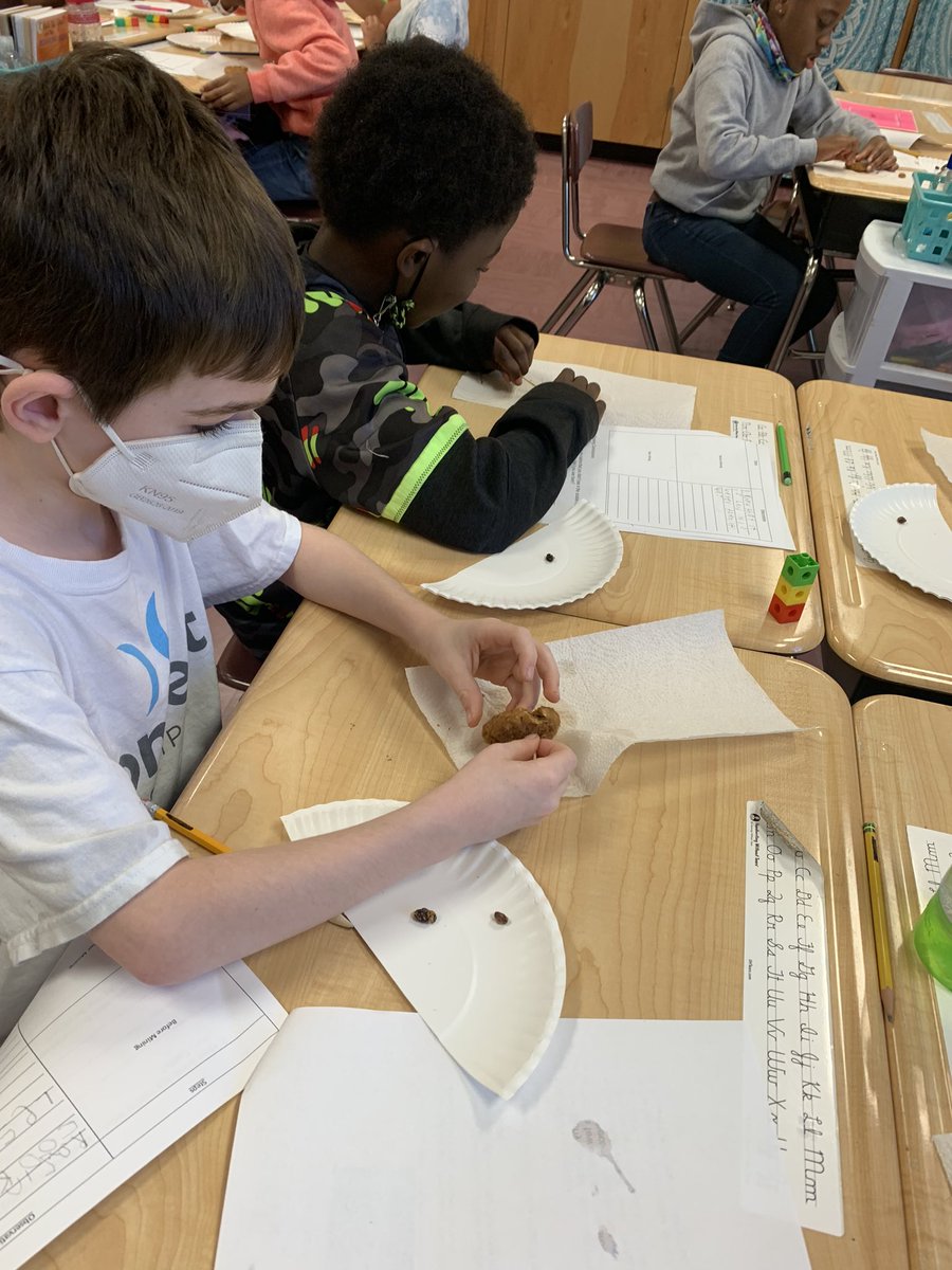 Cartersville21's tweet photo. We started Unit 2: Pollution &amp; Conservation off “Cookie Mining”.         #RCE_HCS   #DrivenBySuccess   #WeAreRacers  #FueledByEnthusiasm     🍪⛏🍪⛏ https://t.co/qsaAzKnmbb