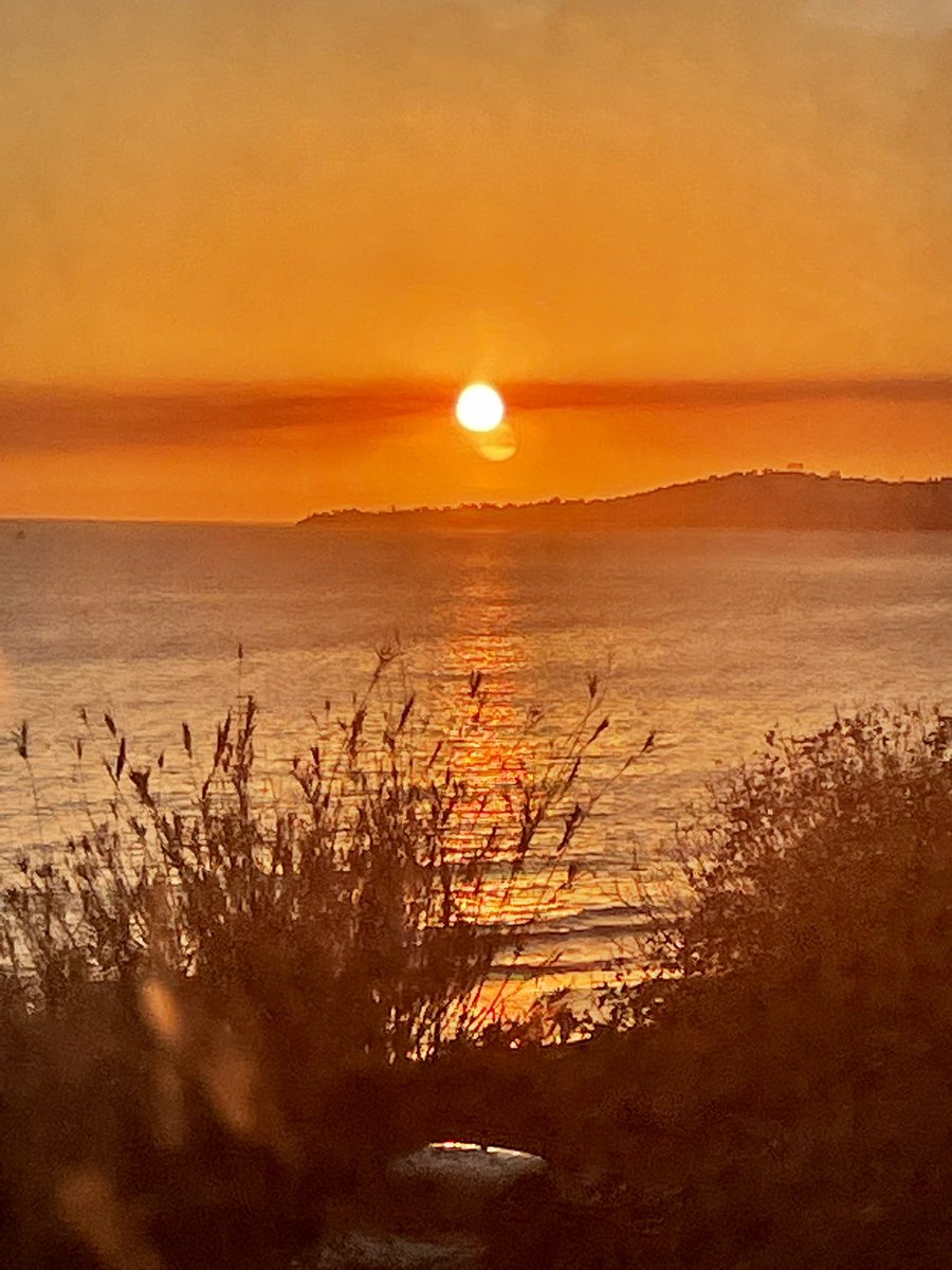 75snow's tweet photo. A glass of wine, a perfectly cooked steak &amp; a million dollar view. #Amtrak #CoastStarlight https://t.co/pdIlHLNWug