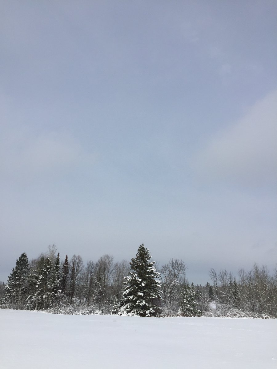 AfterLetters's tweet image. 