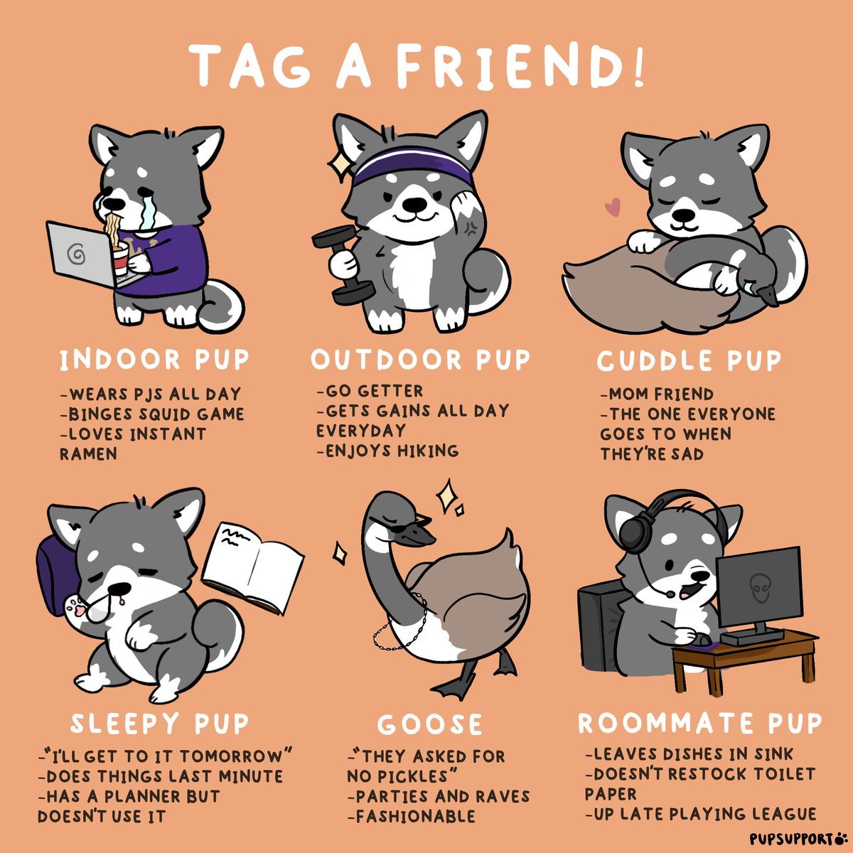pup_support's tweet image. Do the descriptions of these Pups remind you about any of your friends? Tag your friend by retweeting this post and challenge them to also tag 6 other friends!

Love,
Pup 

#pupsupport #tagyourfriends #fun #pup #cute #community #friends #uw #UniversityofWashington #uw2021 #uw2022