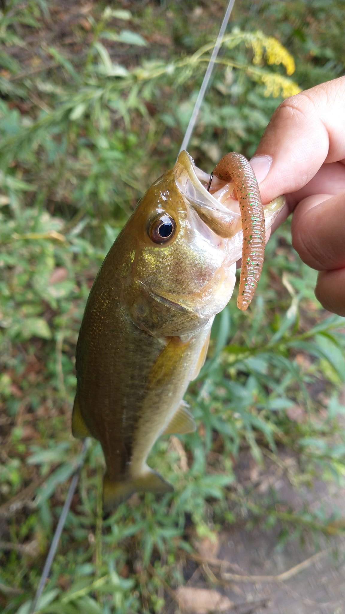 Yoshifumi Yoshifu Twitter