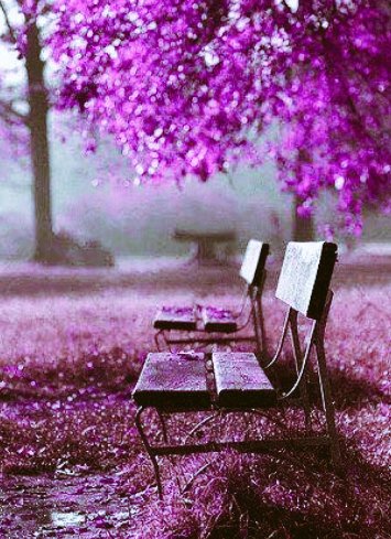 Wall Street Queen (@wallstreetquee2) on Twitter photo 