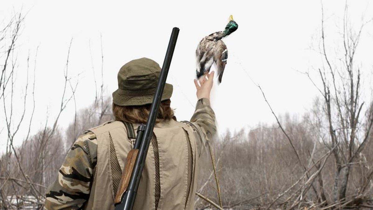 Ethical Hunter Throws Duck He Shot Back Into Sky bit.ly/3BT6WWE