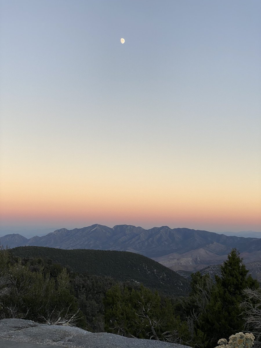 KCRAKelly's tweet photo. I felt like the best way to honor @TomNews3LV was to spend the day in the Spring Mountains 🏔🥾 #ChopperTom #SpringMountains #MtCharleston @News3LV @wakeupwiththecw https://t.co/n7BiZY8wlS
