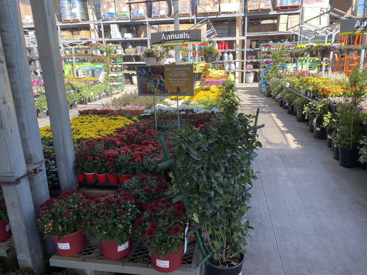 Archier69700962's tweet photo. Seaside is ready for the weekend come on in to see our beautiful Nursery! https://t.co/awuAoYnAC1