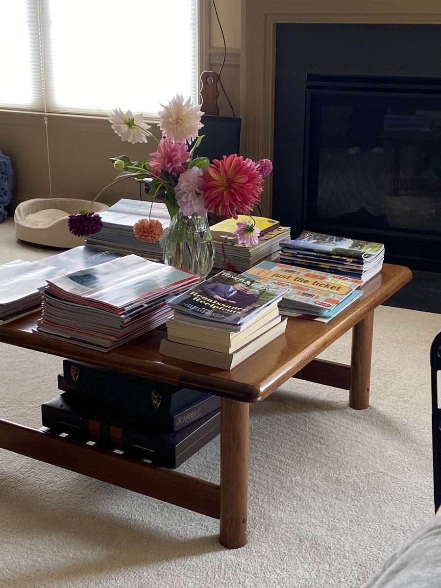 PSUGwen's tweet photo. This was my view today! Lovely dahlias! Home  grown and given to me! Her first cut of season! #beautiful #dahlias #flowers https://t.co/wYLO908ggD