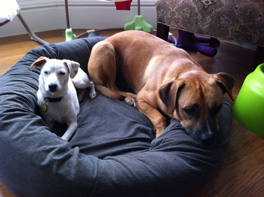 It costs nothing to be nice! #BeKind