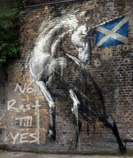 e_brailsford's tweet image. #NoRestTillYes #ScottishIndependence